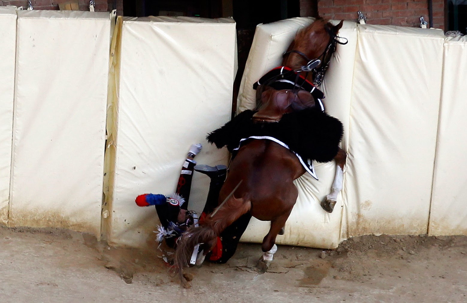 На девушку упала лошадь 19. Травмы лошадей на скачках. Падение с лошади. Конный спорт падения.
