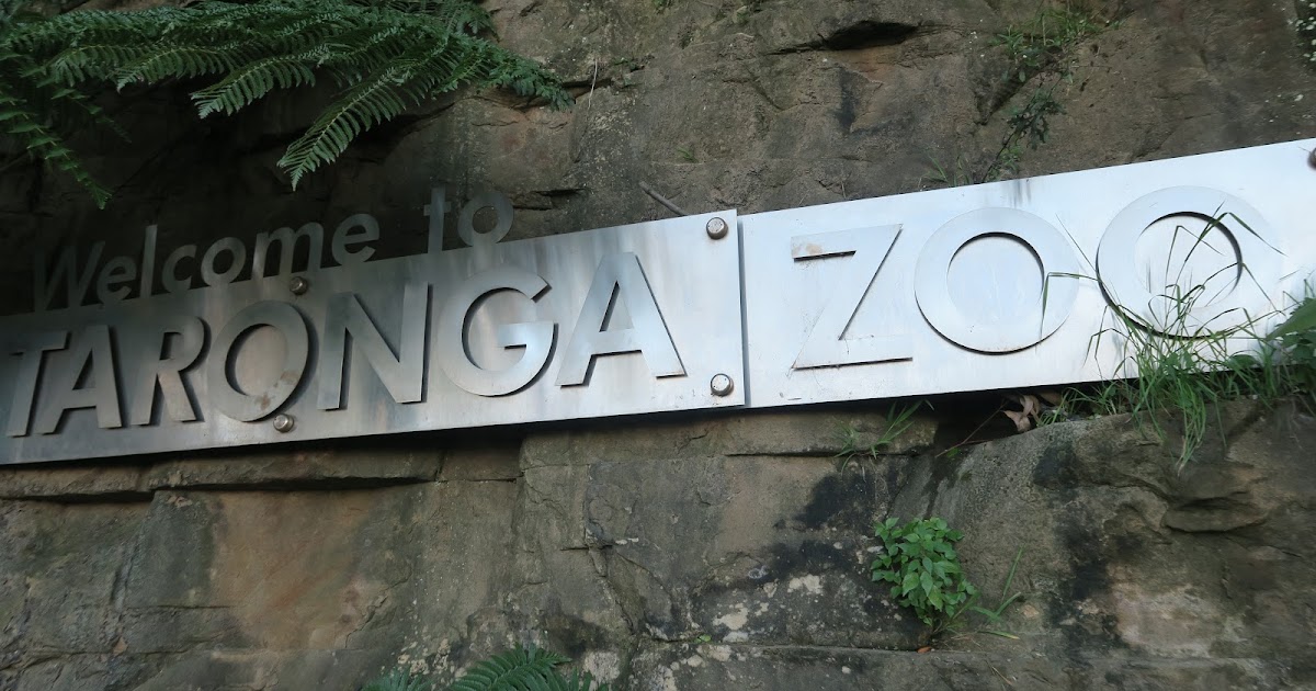 Taronga Zoo :: Sky Safari Ride