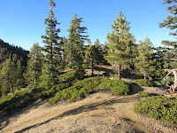 View south on Dawson Saddle Trail
