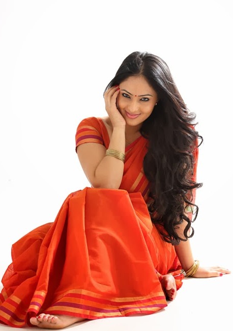 South Indian Actress Nikesha Patel Hip Navel In Transparent Red Saree