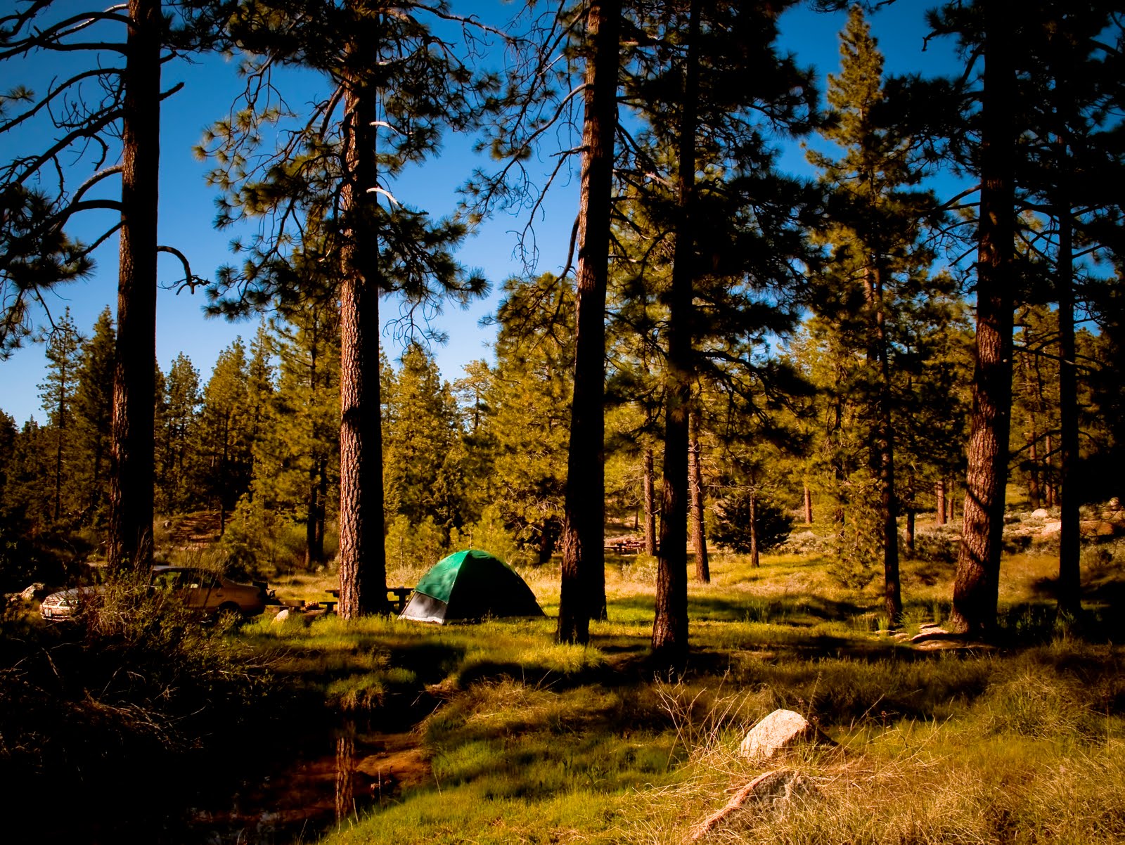 Adventure Los Angeles Horse Flats Camping First Days of Summer