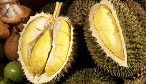 Top ! 9 Benefits Of Durian for a Healthy Diet That Should Be Known - Healthy T1ps Top ! 9 Benefits Of Durian for a Healthy Diet That Should Be Known - Healthy T1ps