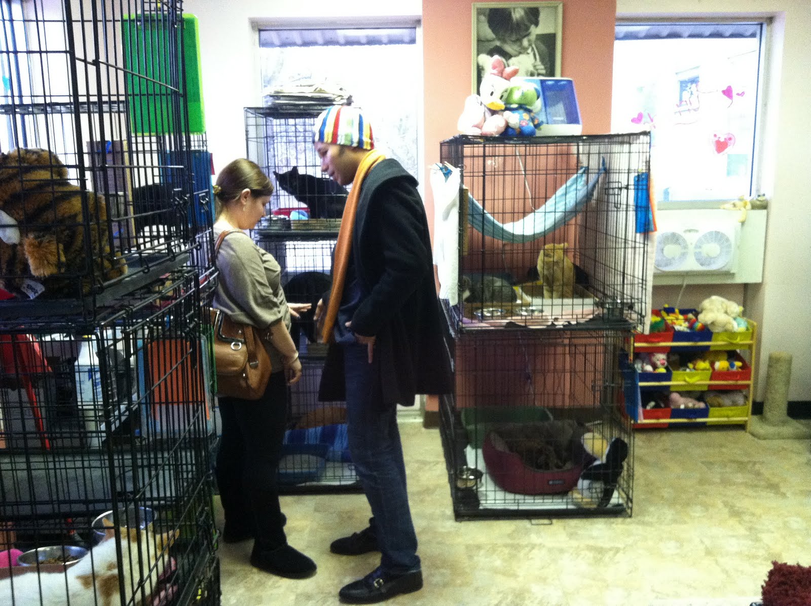 South Kansas City Observer On Making Life Better for Pets In Kansas City