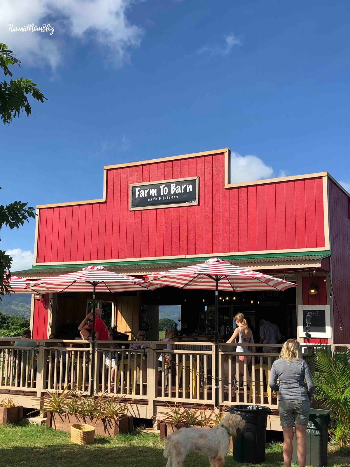 Hawaii Mom Blog Recently Opened in Haleiwa Farm to Barn Cafe