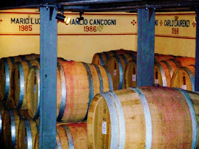Wine cellar of Fattoria dei Barbi
