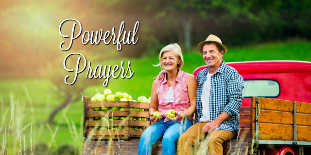 Prayer can have a powerful effect on our families for years to come. This short Bible study gives us some insights and encouragement.