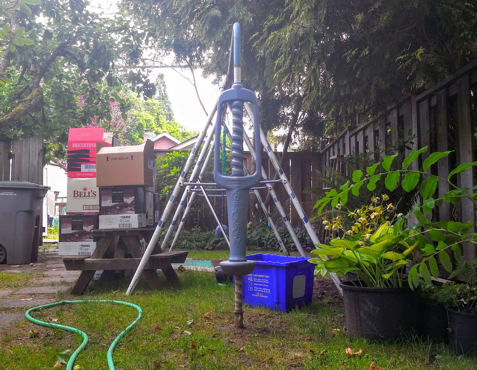 Winter Blooms In The Rainy Day Garden