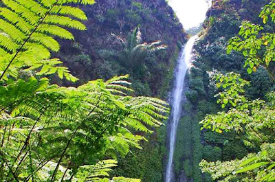 Air terjun tancak panti