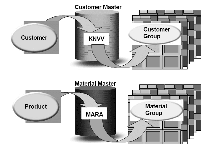 Master Data for SAP FICO and ABAP - SAP ABAP
