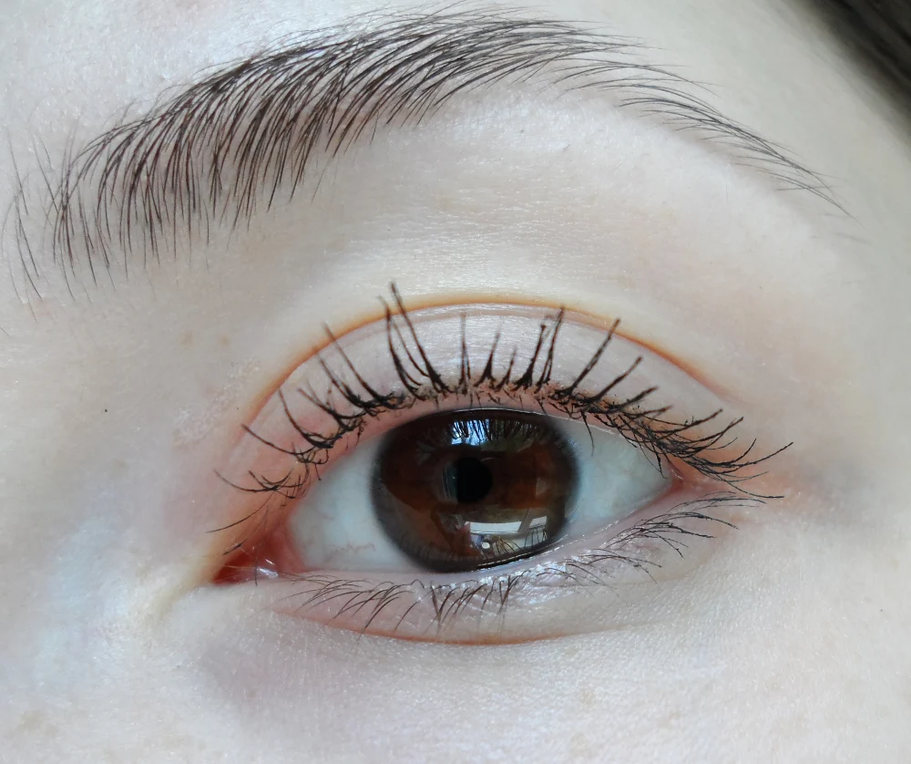 a picture of a woman's eye with Max Factor False Lash Effect Mascara on lashes