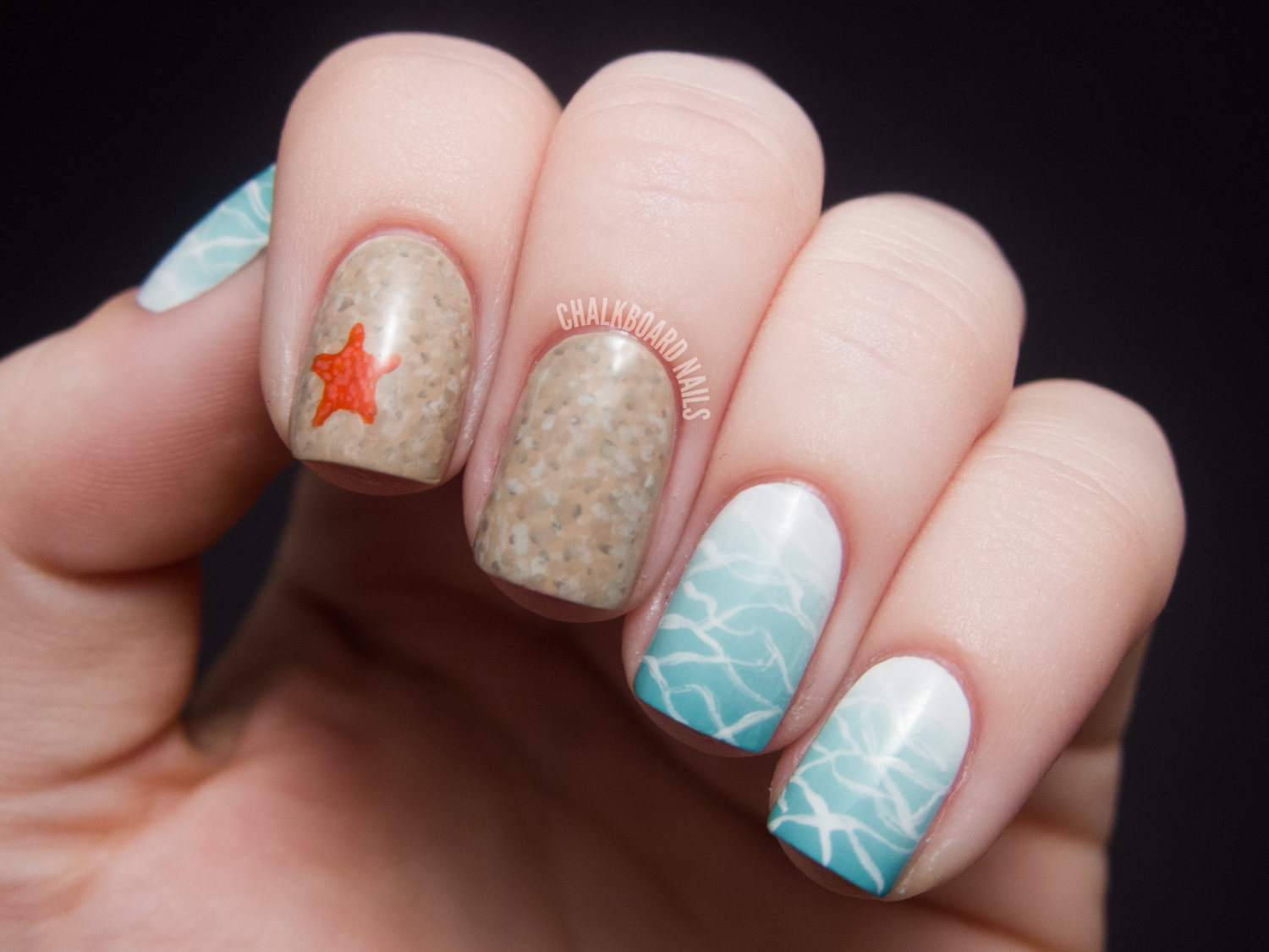 Sand Dollar Nail Art Stickers - wide 1
