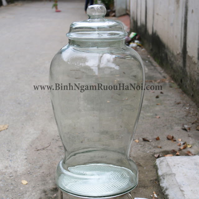 Binh ngam sam Thai Binh 40 lit