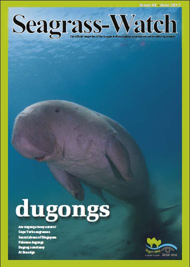 wild shores of singapore: Secret Sirens of Singapore: Dugongs in our midst