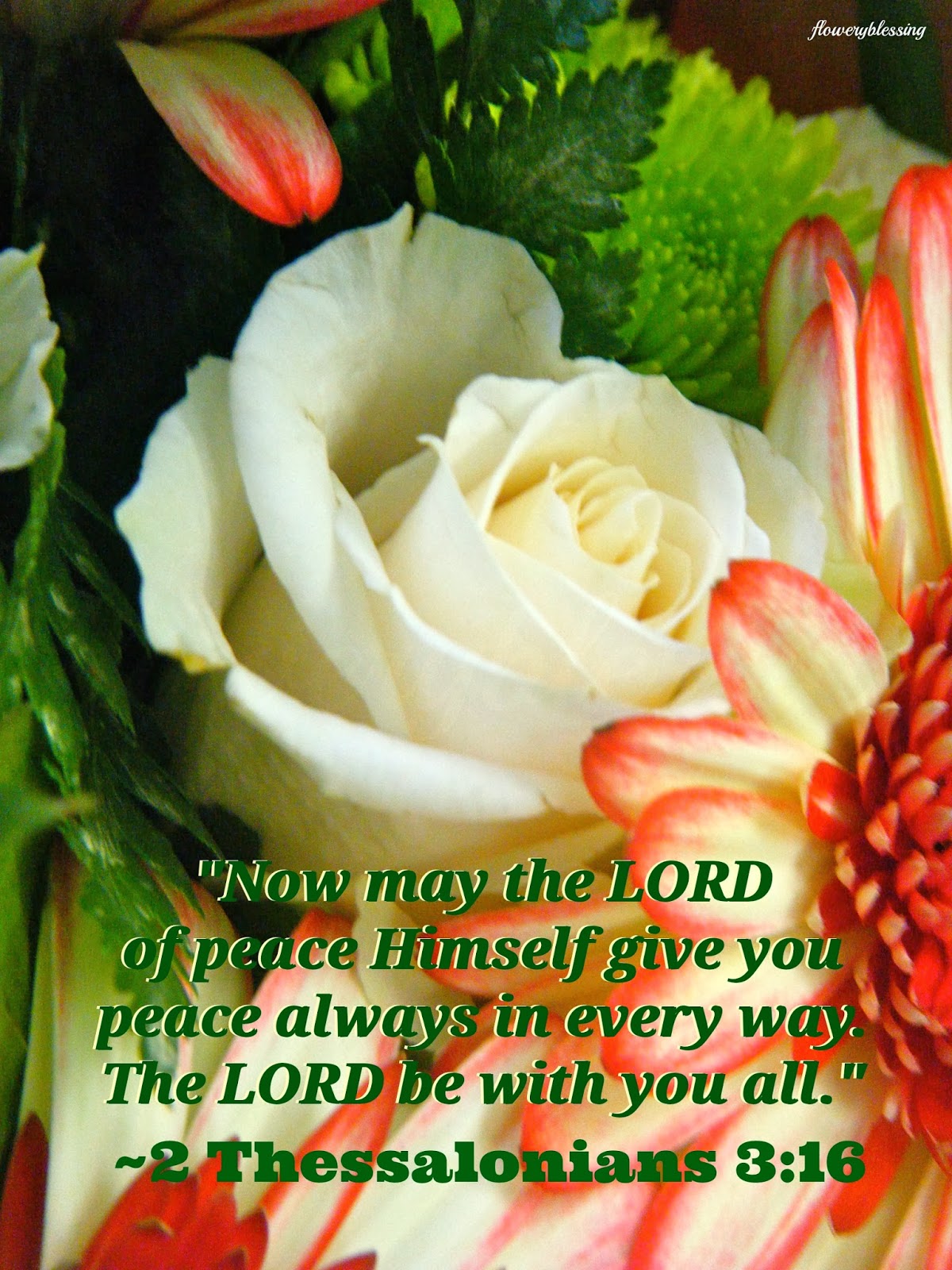 Flowery Blessing: "Now may the LORD of peace Himself give you peace