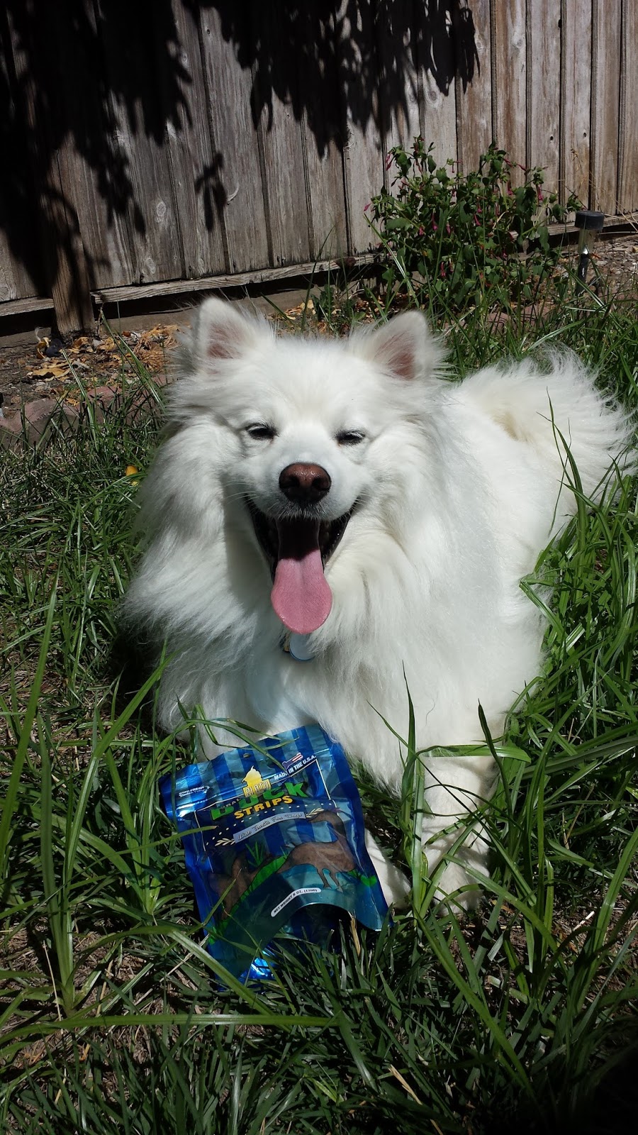 Ruckus the Eskie Quack Quack "Wise Treats for Dogs"?