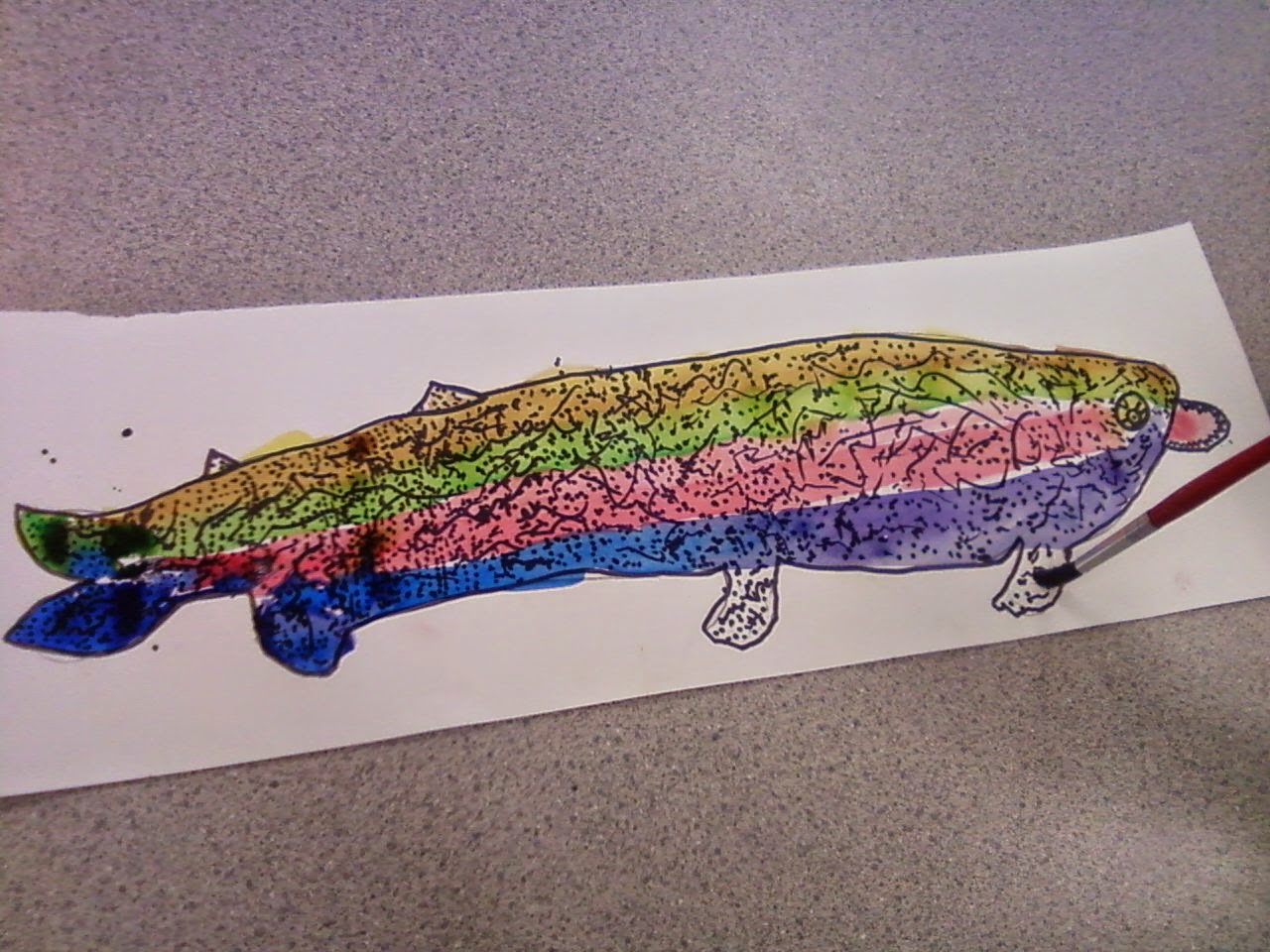 PPPS Elementary Art Rooms Rainbow Trout 3rd grade