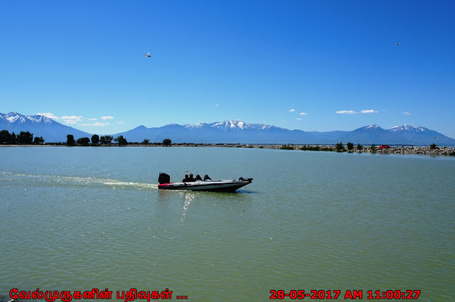 Things to Do in Utah Lake State Park