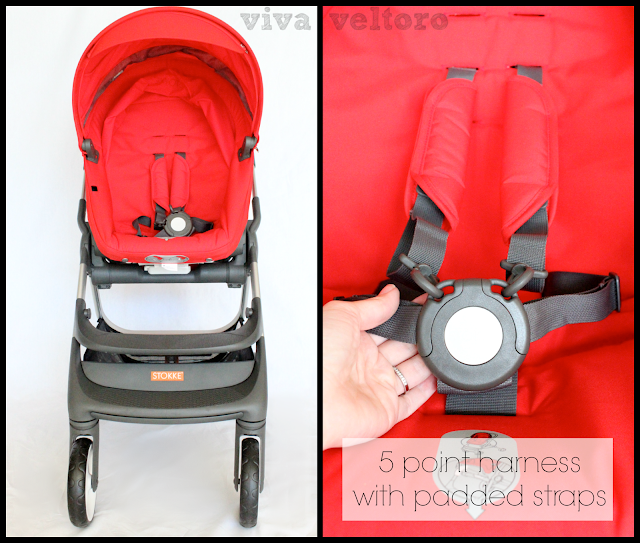 Stokke Scoot Stroller