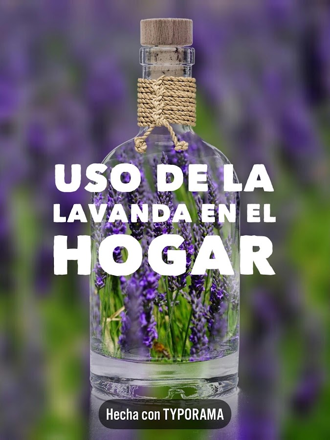 uso de la lavanda en el hogar