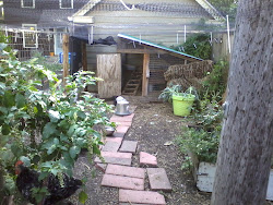 chicken coop tractor supply waterer chickens friday sims raising pair books