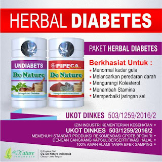http://penghilangdiabetes.blogspot.com/2016/11/obat-penyakit-diabetes-melitus-dan.html