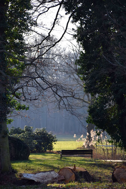 Mit 8 Megapixeln durch die Niederlausitz