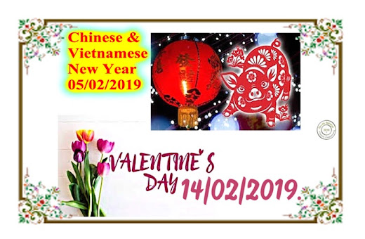 Lunar New Year - Oink oink. Valentine's Day 2019.