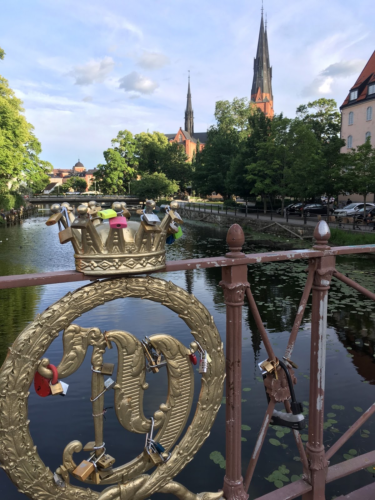 purple podded peas Uppsala and the Flower King