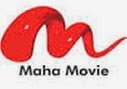 ABP News, India TV, Focus News and Maha Movies on DD Freedish