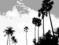 palm trees tall silhouette silhouettes grey background palms scenery scene moving nature breeze clouds