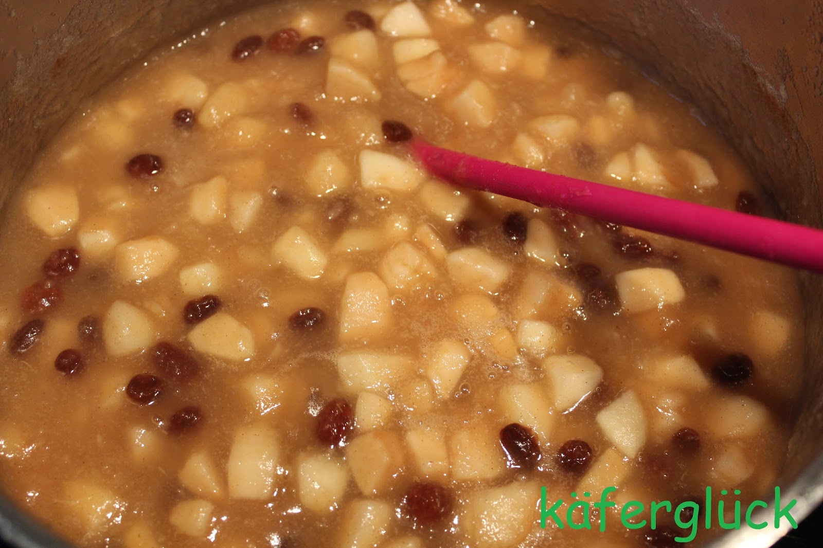 käferglück: Apfel- Zimt Marmelade mit Rumrosinen