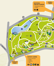 Susan S Blog Complete Guide To Singapore Botanic Gardens Part 3