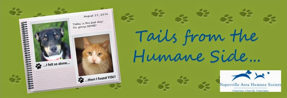 Tails from the Humane Side