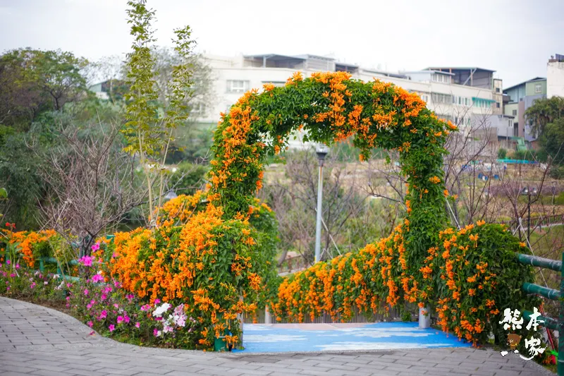 鶯歌永吉公園IG網美景點|炮仗花、櫻花齊登場還有3D立體彩繪步道
