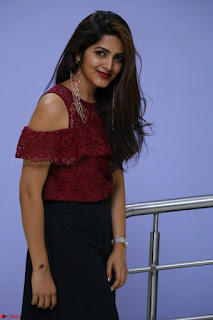 Pavani Gangireddy in Cute Black Skirt Maroon Top at 9 Movie Teaser Launch 5th May 2017  Exclusive 008