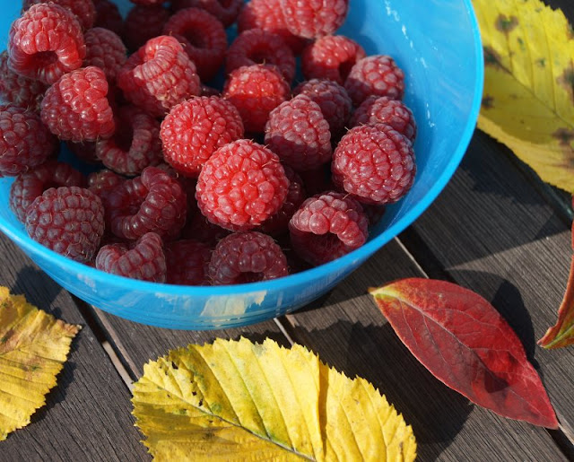 DIY: Norwegischer Beeren-Quark. Tante Tildas Rezept. Frische Himbeeren sind toll für die Zubereitung, doch tiefgefrorene gehen genauso gut!