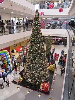 Lit up like a christmas tree meaning in dil bechara