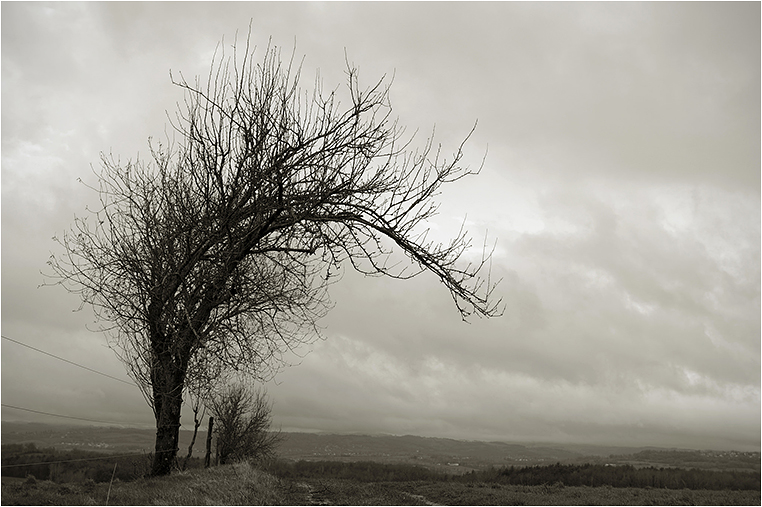 Emerging Photographers, Best Photo of the Day in Emphoka by Benbill Emerging Photographers, Best Photo of the Day in Emphoka by Benbill