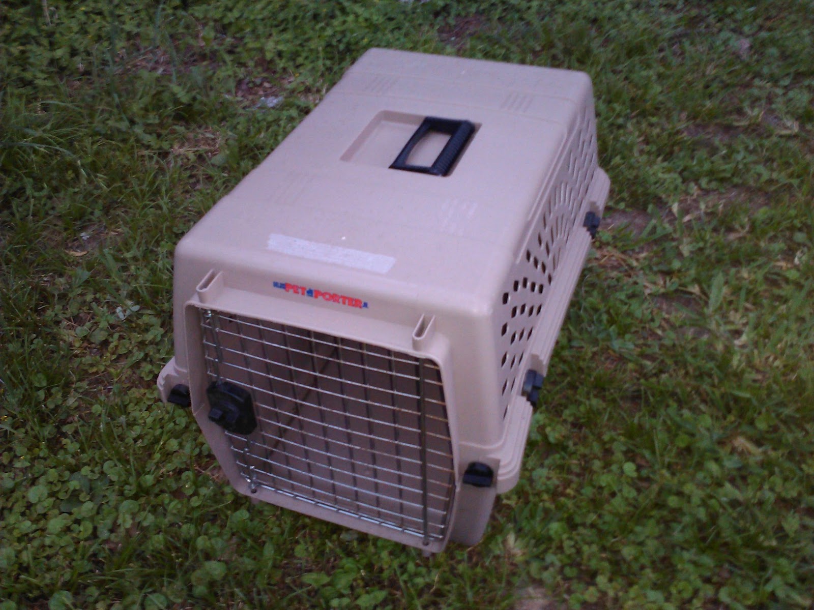 Pet Porter Size Chart