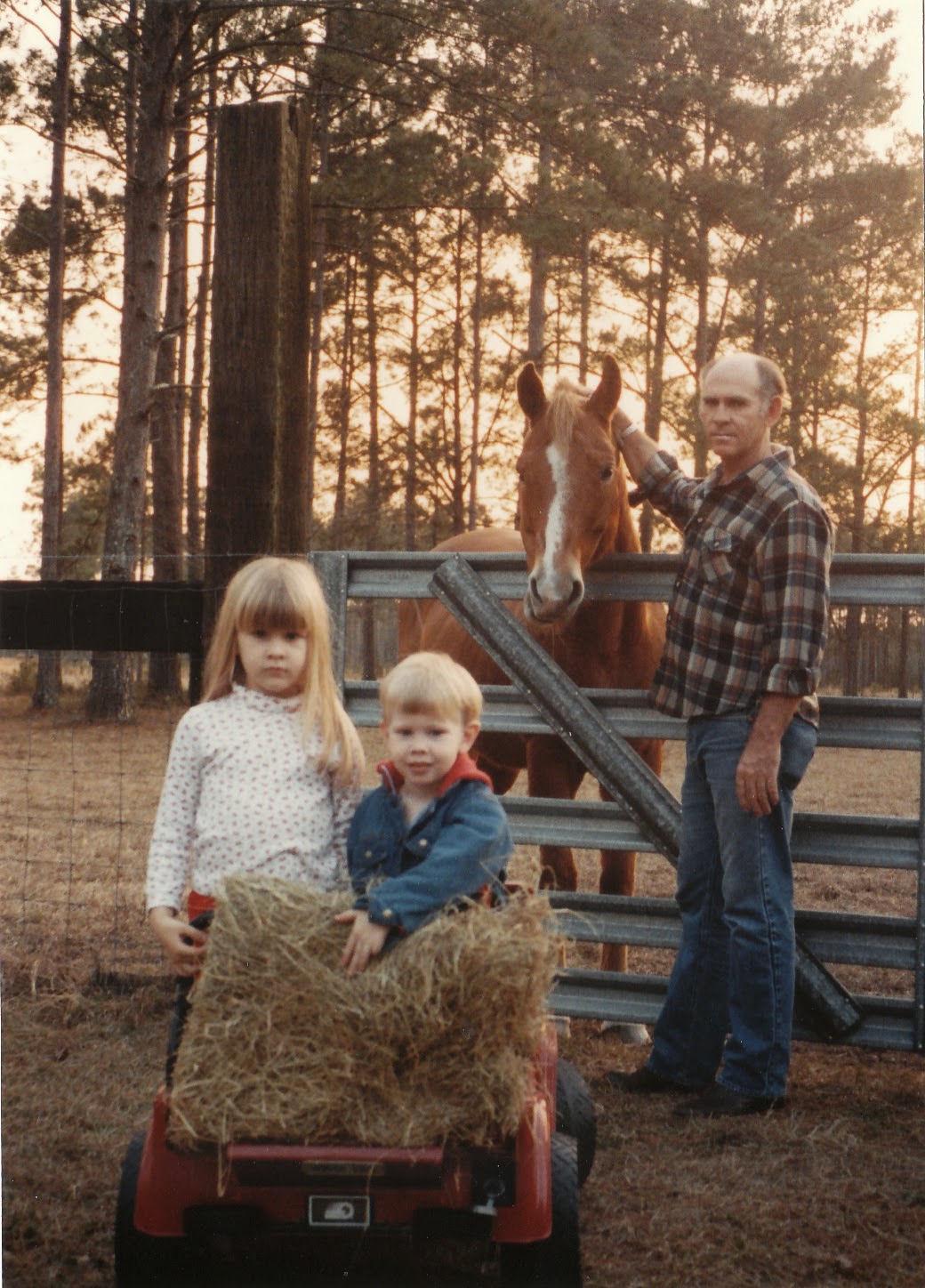 Lettuce Grow It Weston Family Farm We're Westons