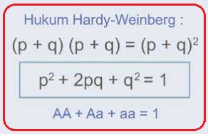 Soal Un Dan Pembahasan Mekanisme Evolusi Materi Belajar