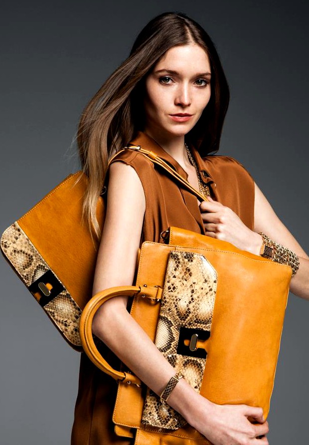 Etienne Aigner New Handbags Collection 2013 For Women New Handbags