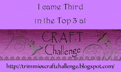 CRAFT Challenge