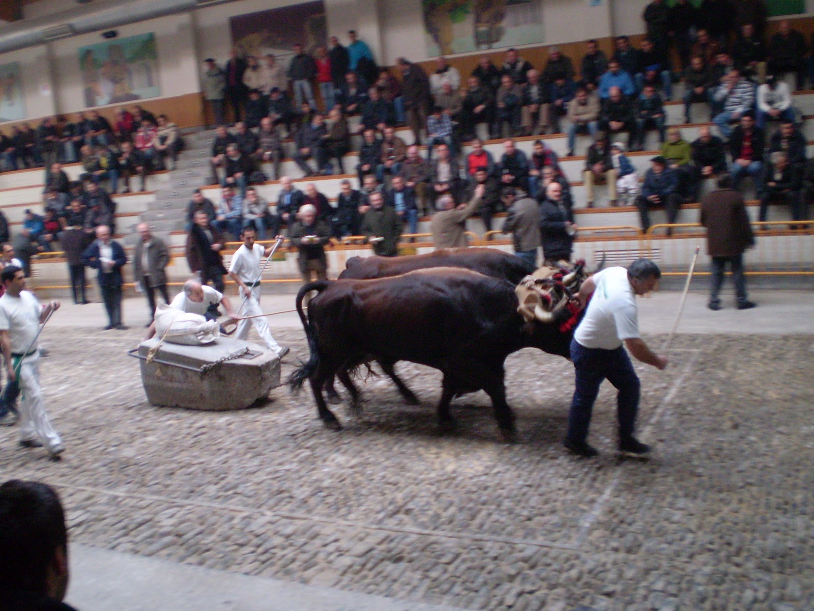 ART PASION Jesús Montejo Prueba de
