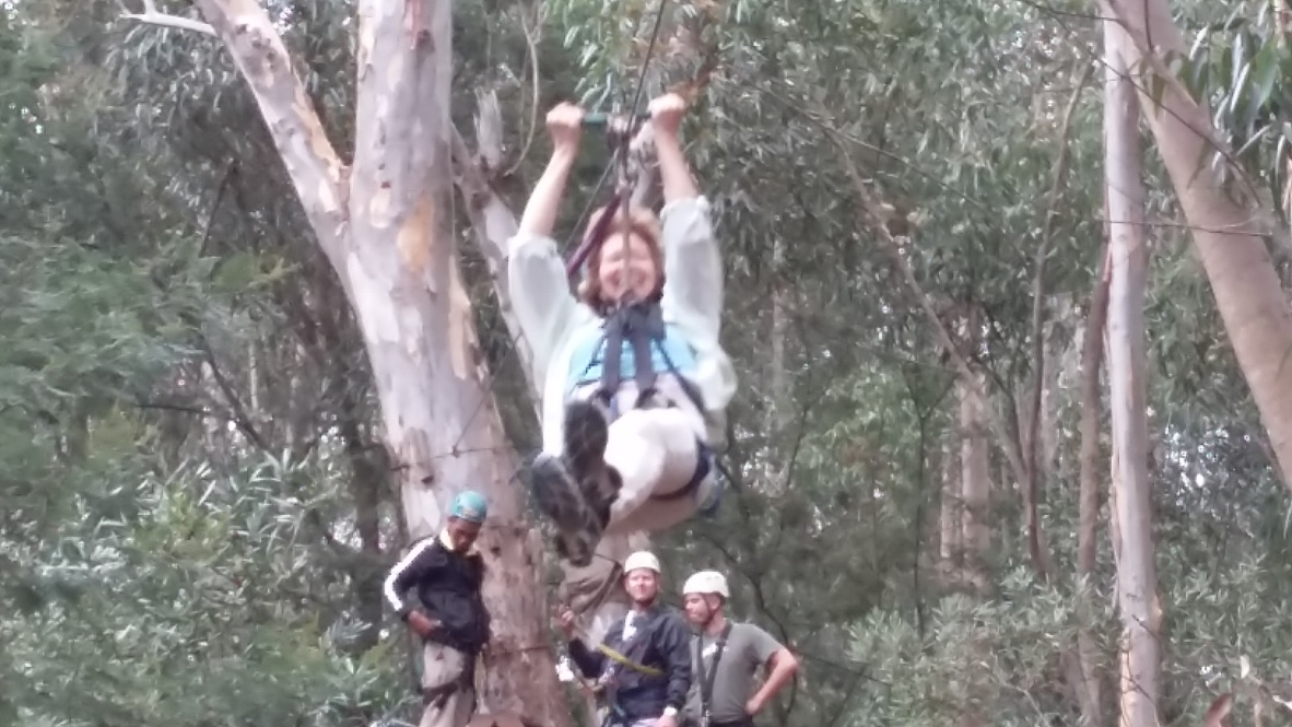 60@60: Task 4: Go zip wiring