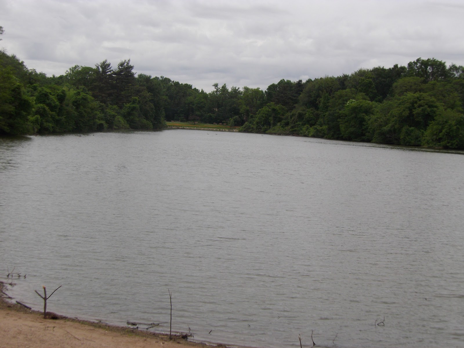 The Great Lakes of NYC Saddle River