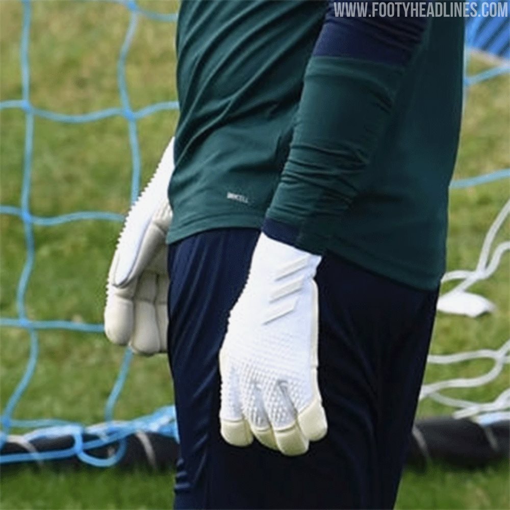 adidas predator 2020 goalkeeper gloves