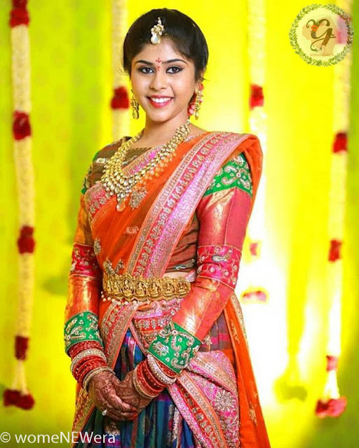 Kanjeevaram border full sleeves Blouse full sleeves Blouse