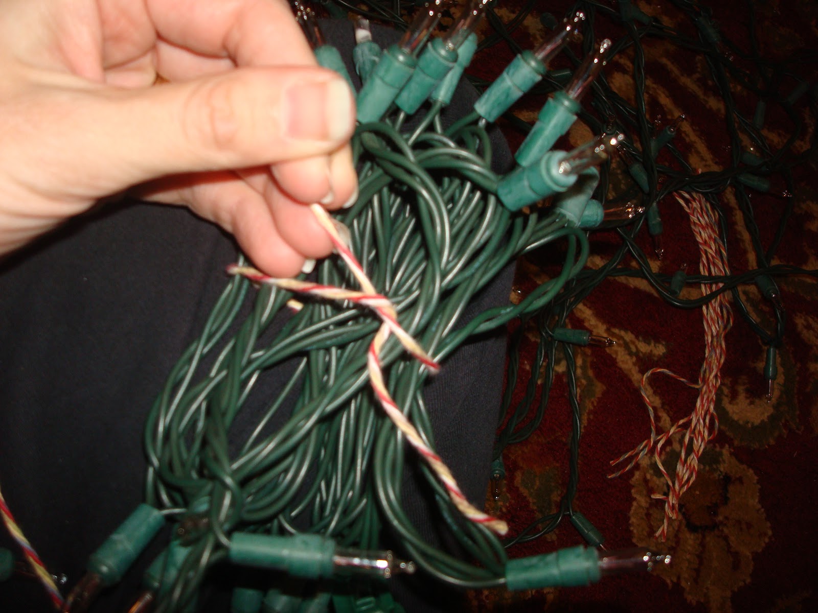 Dana, Mandy & Family Storing Christmas Lights