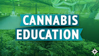 California college for cannabis